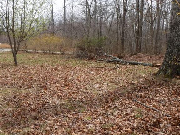 2nd image of 964 Wildwood Rd