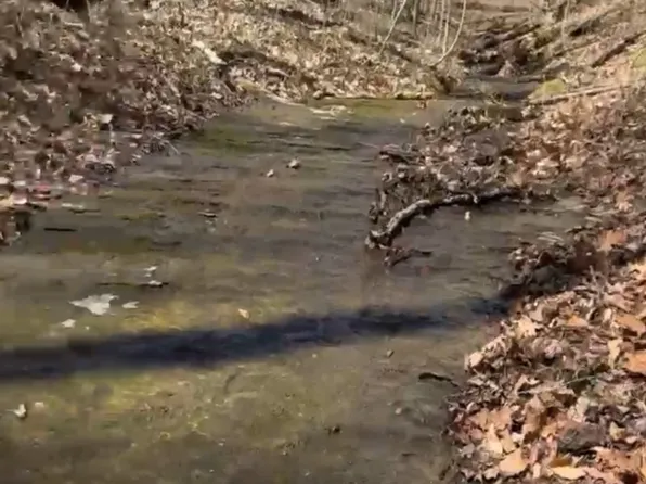 0 Simmons Ct Lot 15, Ashland City, TN 37015