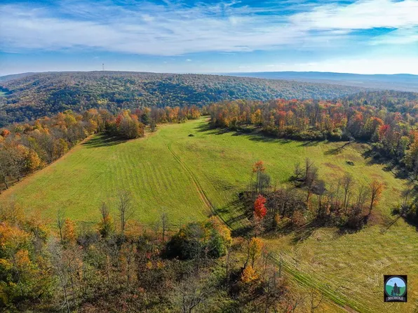 W Hill Rd, Wellsboro, PA 16901