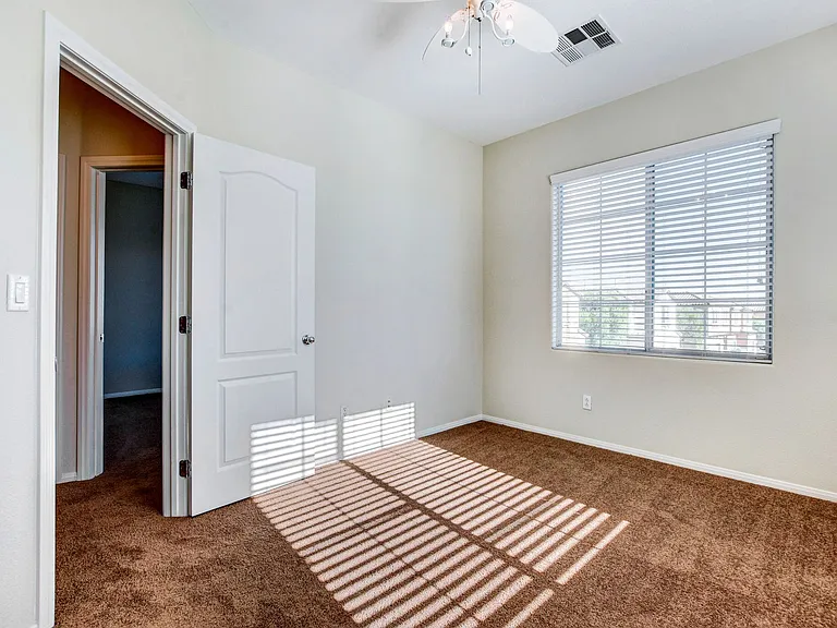 8285 Begonia Blush Dr — Photo 17