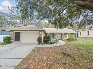 2464 Caretta Ave, Spring Hill, FL 34609