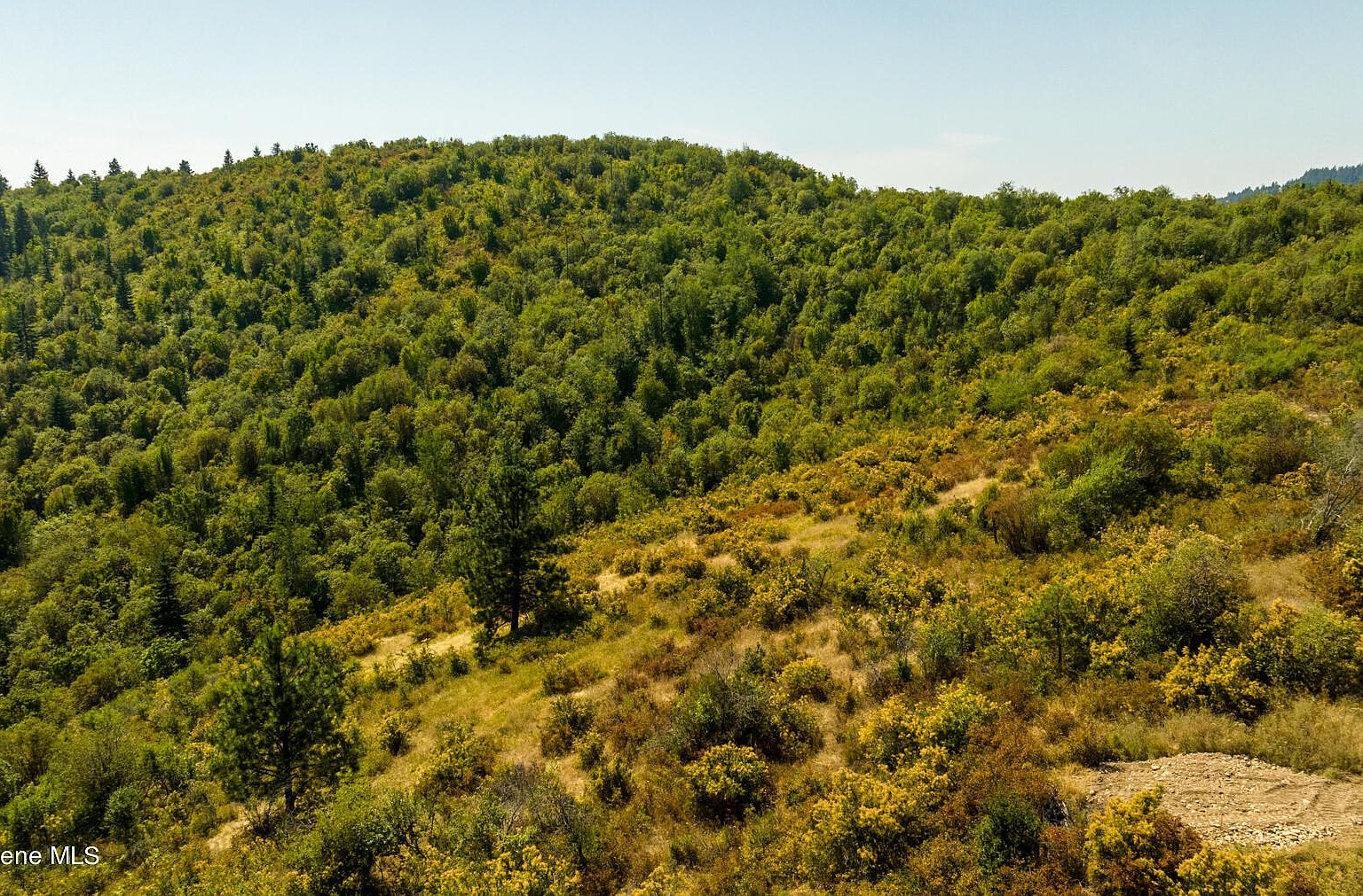 PARCEL 8 Agency Rd, Plummer, ID 83851 MLS 235211 Zillow