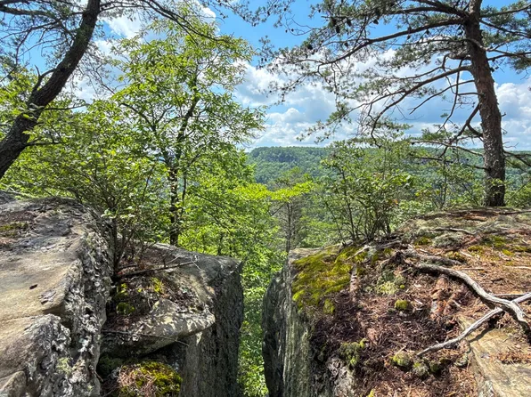 0 Flat Rock Rd, Jamestown, TN 38556