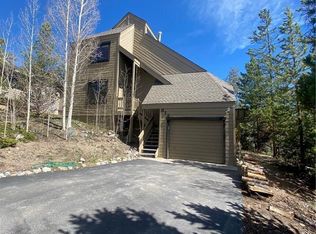 318 Geil Ln, Dillon, CO 80435