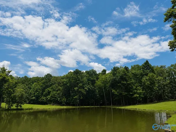 13 County Road 131, Cedar Bluff, AL 35959
