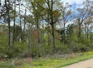 Tbd Vincent Place Ave, Denham Springs, LA 70726