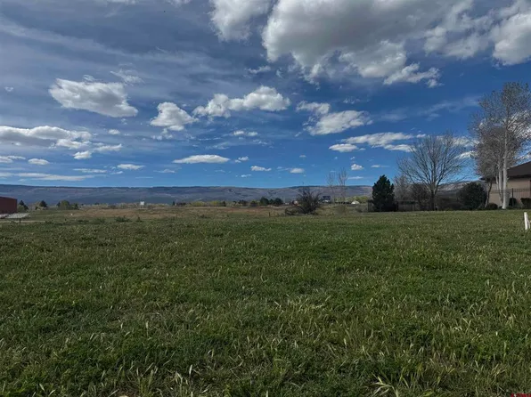 870 SE Pinyon Street, Cedaredge, CO 81413