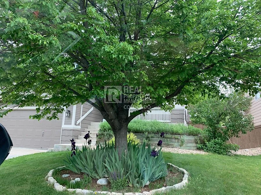 Building Photo - 515 Stellars Jay Dr