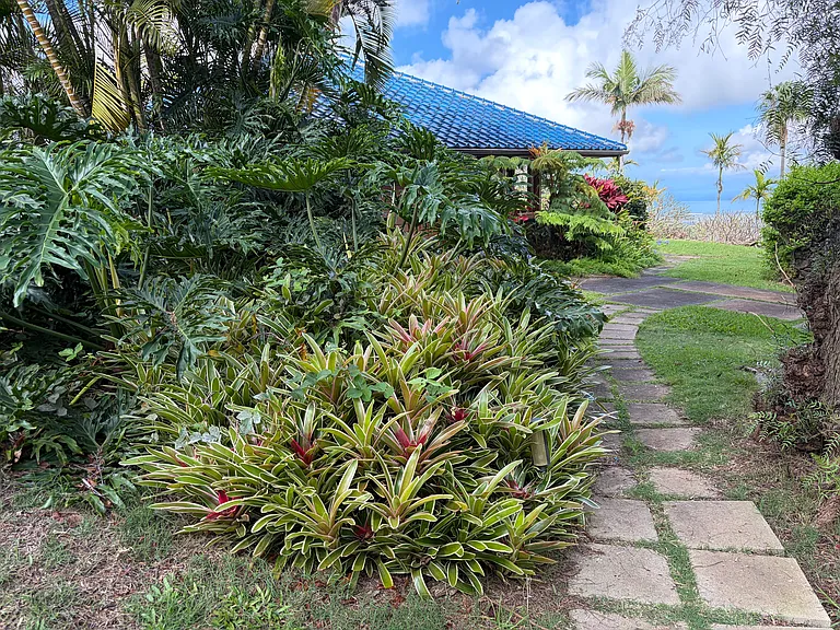Path to the house