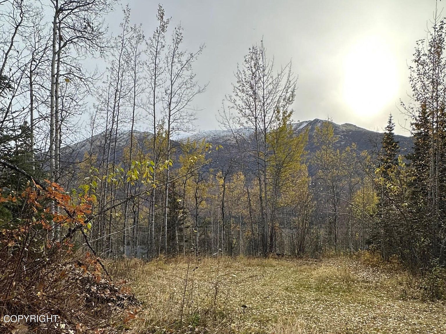 Mile 6.5 Eagle River Rd, Eagle River, AK 99577 MLS 2312388 Zillow