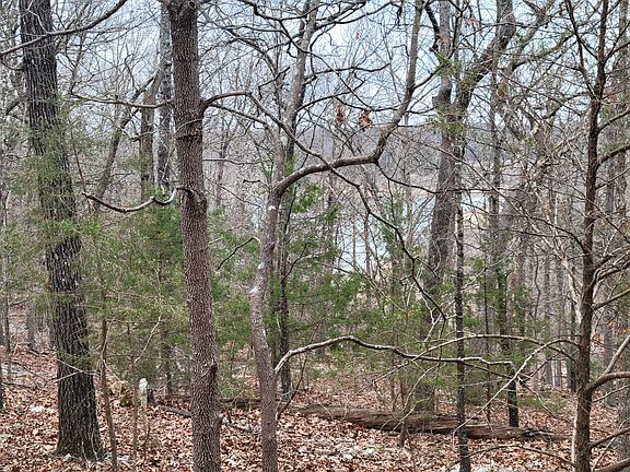 5th image of 000 Lost Mine Road