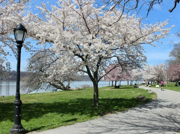 425 Riverside Drive image 14 of 15