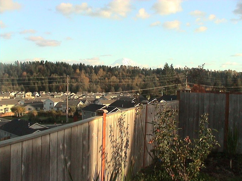 View of Mt Rainier fm Backyard
