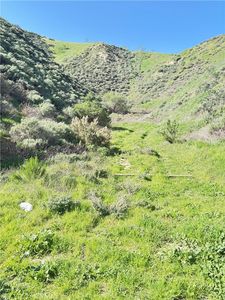 0 Paradise Rd Lot 131, Castaic, CA, 91384