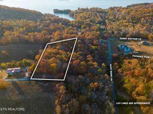 0 Goins Xrds, Ten Mile, TN 37880