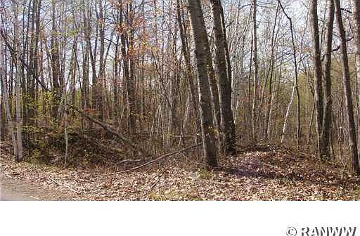 2nd image of SW-SW Thunderpoint Road