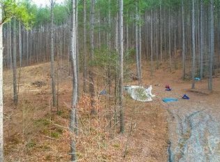 0 Pine Needle Ln LOT 27, Bostic, NC 28018