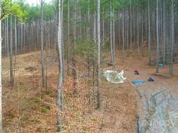 0 Pine Needle Ln Lot 27, Bostic, NC 28018