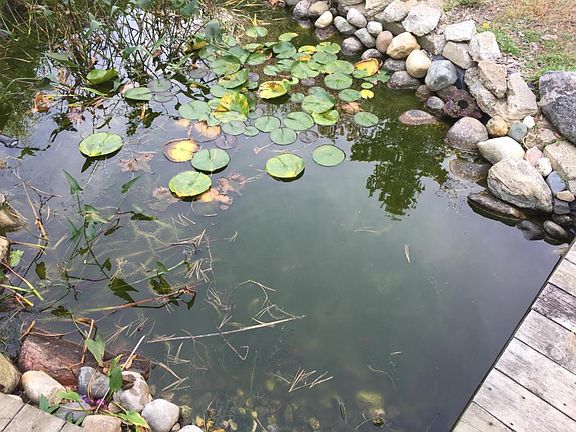 4th image of 2506 Kewadin Dr NE