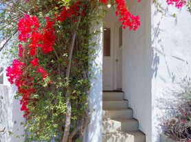 163 Arlington Ave, Berkeley, CA