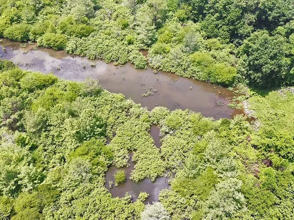 0 Sawmill Rd, Shaw, MS 38773