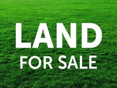 0 County Road 136 Parcel 3, Lexington, AL, 35648