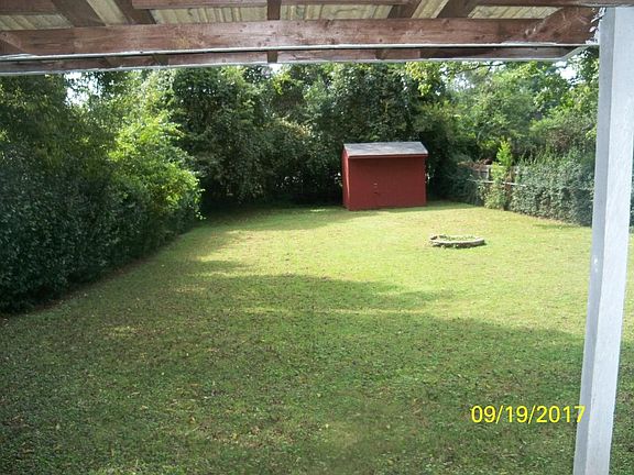 back yard