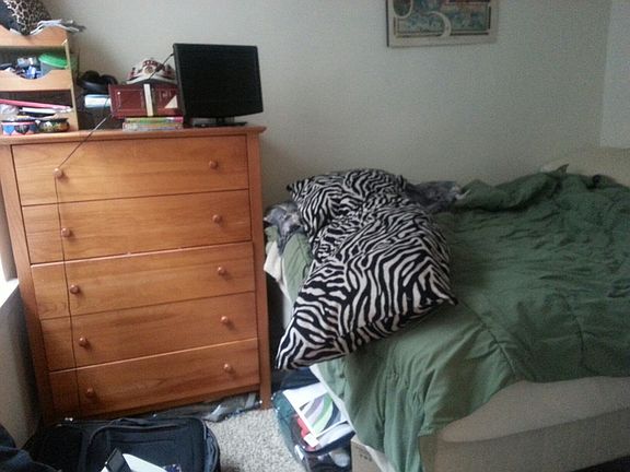 4th image of 3727 N Pine Grove Ave APT 303