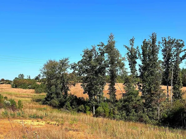 0 Riverfork Rd, Waterloo, SC 29384