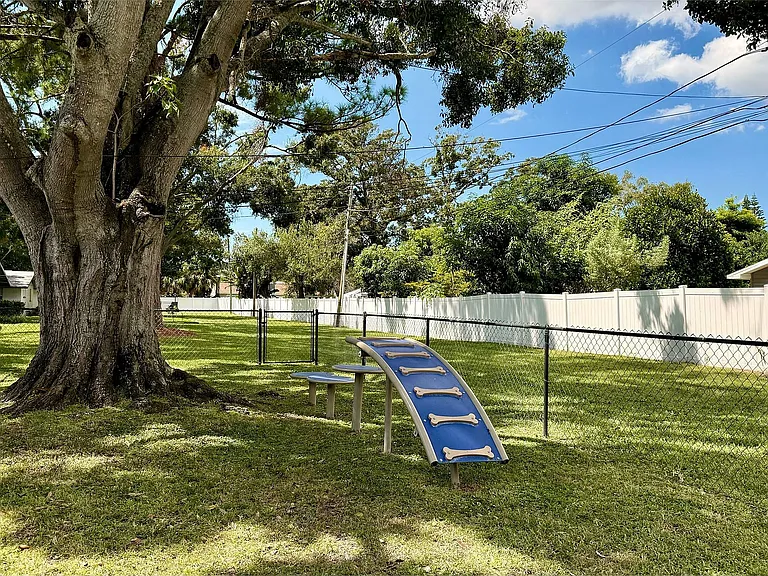 Charming backyard featuring a large tree, green lawn, and playground equipment under a sunny sky.