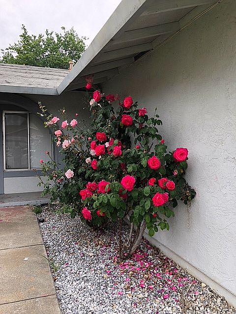  Front of the house