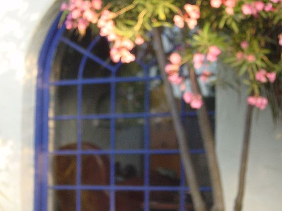 large unique window