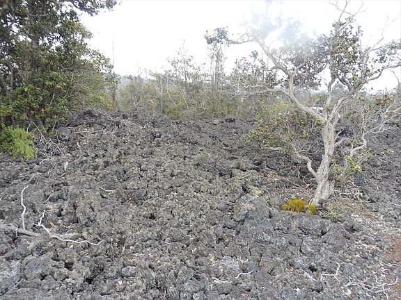 3rd image of Ohia Dr Lot 35