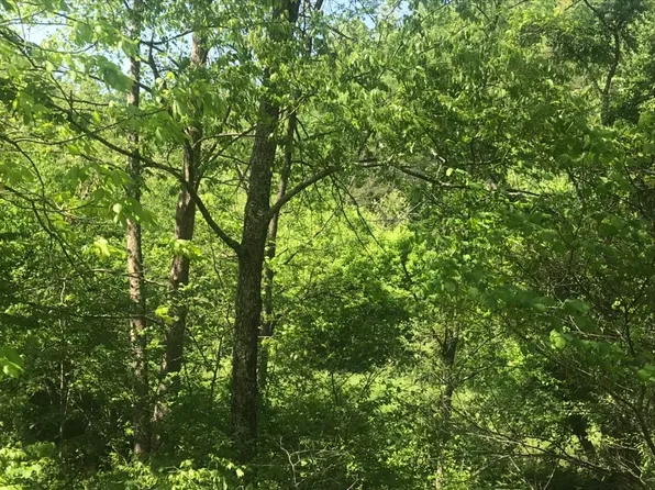 0 Aden Land285ac Rd, Olive Hill, KY 41164