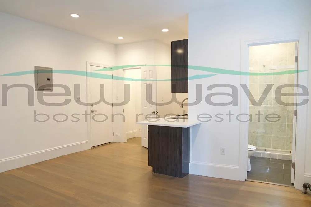 Studio, 450 sqft, $2,550 — Photo 4