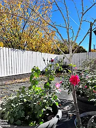 Rented by Brown Harris Stevens