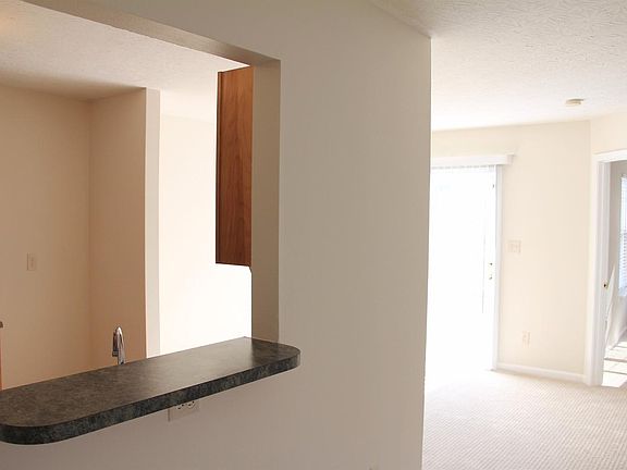 5th image of 2704 Silver Mare Ct