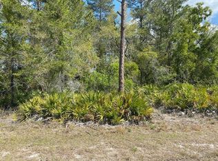 7233 Bahama Swallow Ave, Weeki Wachee, FL 34613