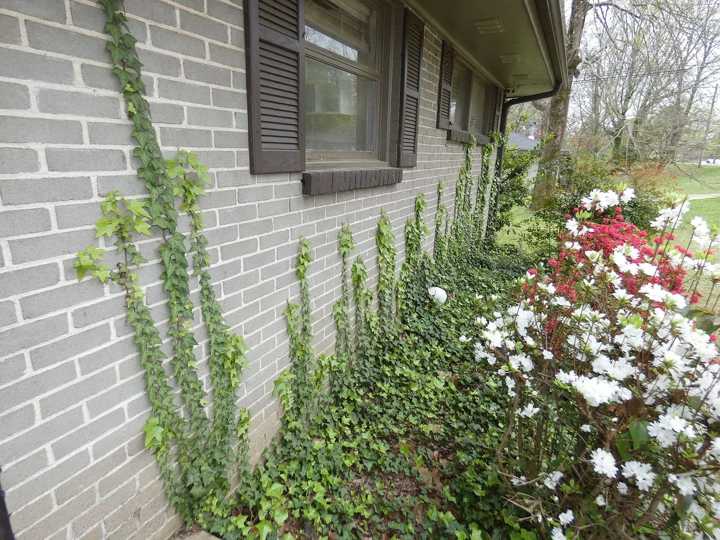 5137 Scenic View Drive Birmingham, AL 35210 — Photo 3