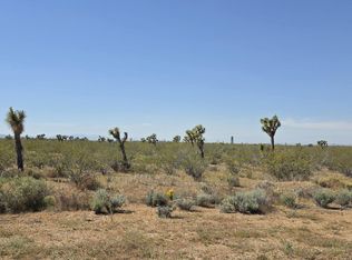 175th Street East Ave #W14, Llano, CA 93544