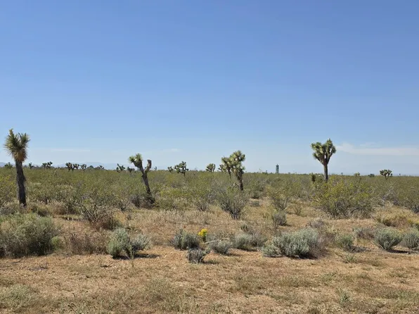 175th Street East Ave #W14, Llano, CA 93544
