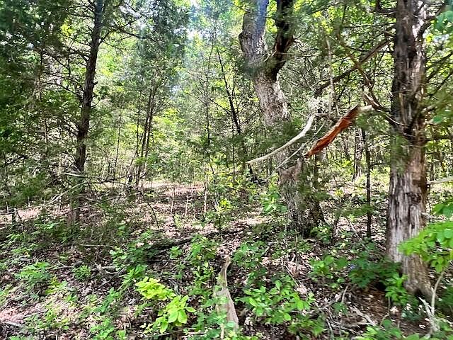 2nd image of 000 Missouri Line Road