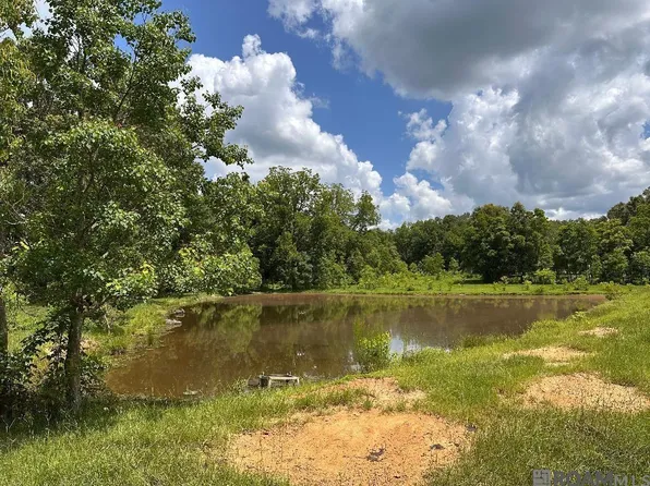 Loy Y 3 Old Norwood Wilson Rd, Wilson, LA 70789