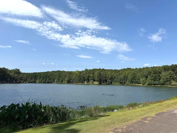 388 Harkins Lake Rd, Fayette, AL 35555