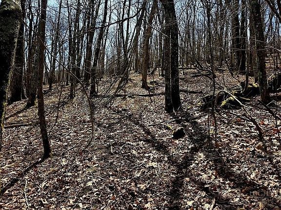 5th image of TBD Junaluska Road