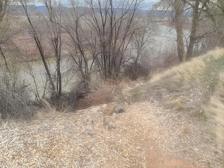 Looking North on the back of the property to the River.