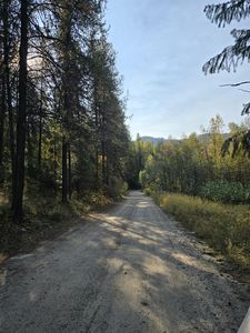 1622T Clugston Onion Creek Rd, Colville, WA, 99114