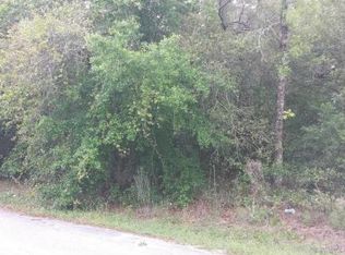 3272 E Odier St, Inverness, FL 34453