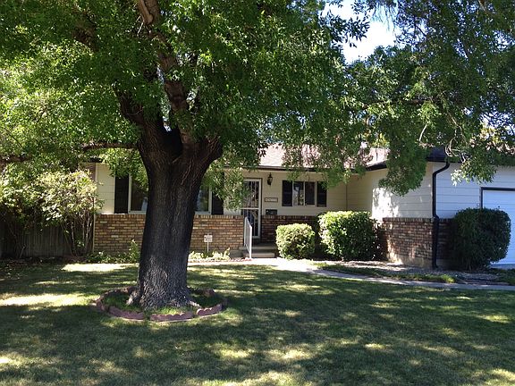 50 year old Green Ash