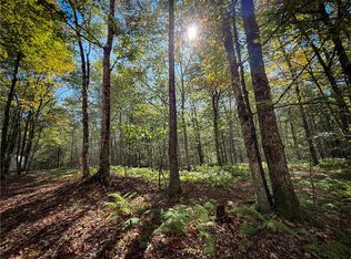 Tamblin Ridge Trl #17, Bernhards Bay, NY 13028